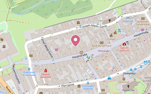 Stadtplan Eisenstadt mit Markierung der Ordination, Hauptstraße 21/9, 7000 Eisenstadt